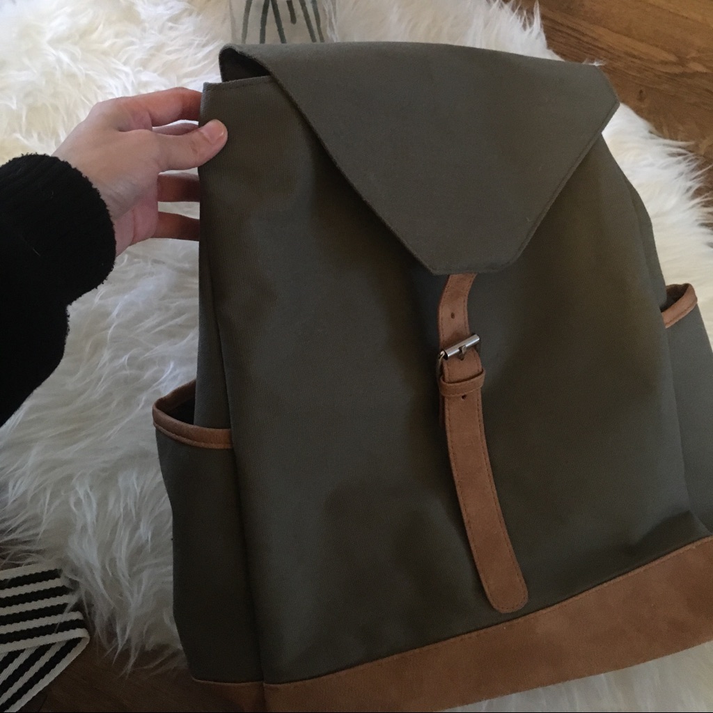 Dsw Backpack